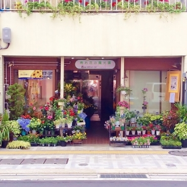 「お花の陽光園」　（青森県八戸市）の花屋店舗写真1